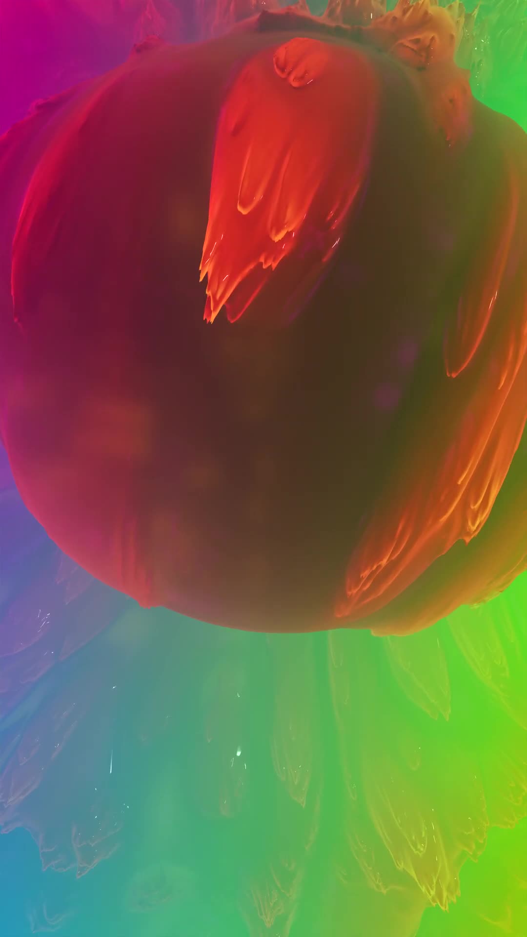 7982