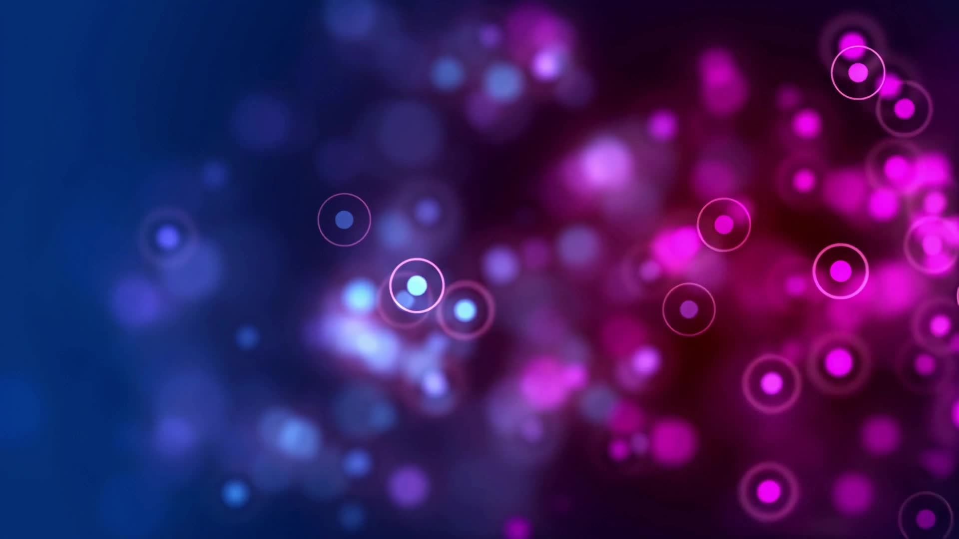 031989