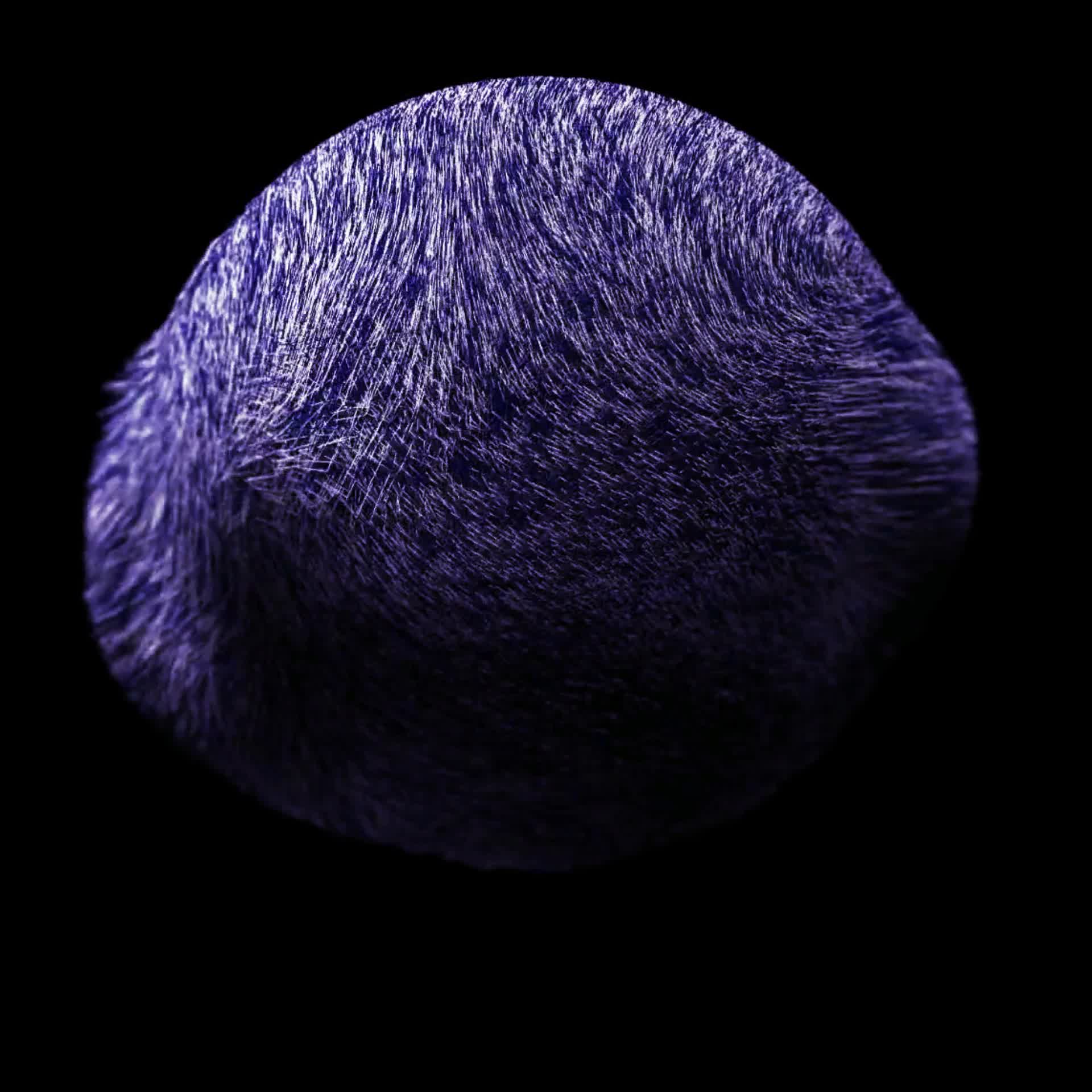 3029974