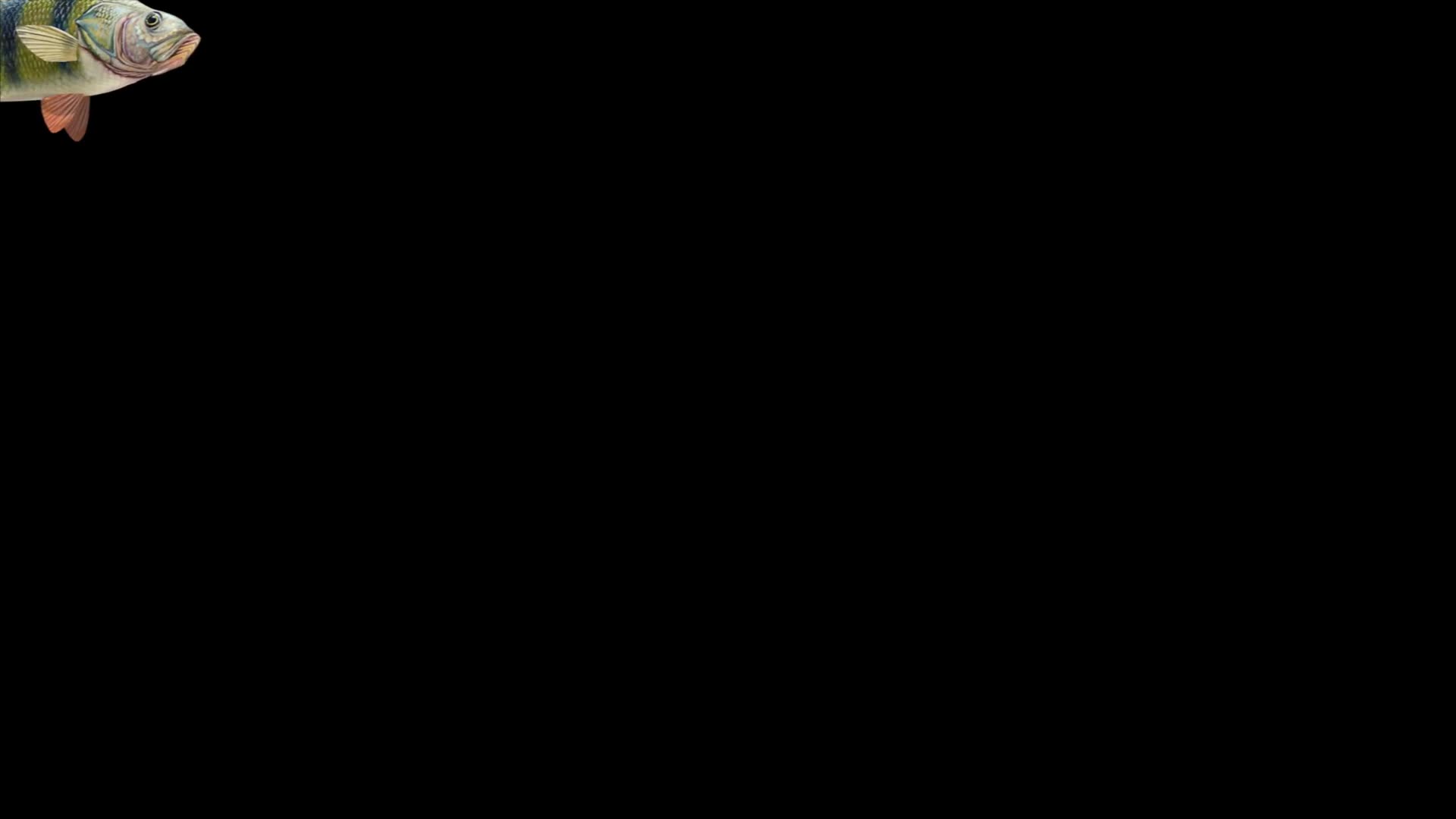 899740