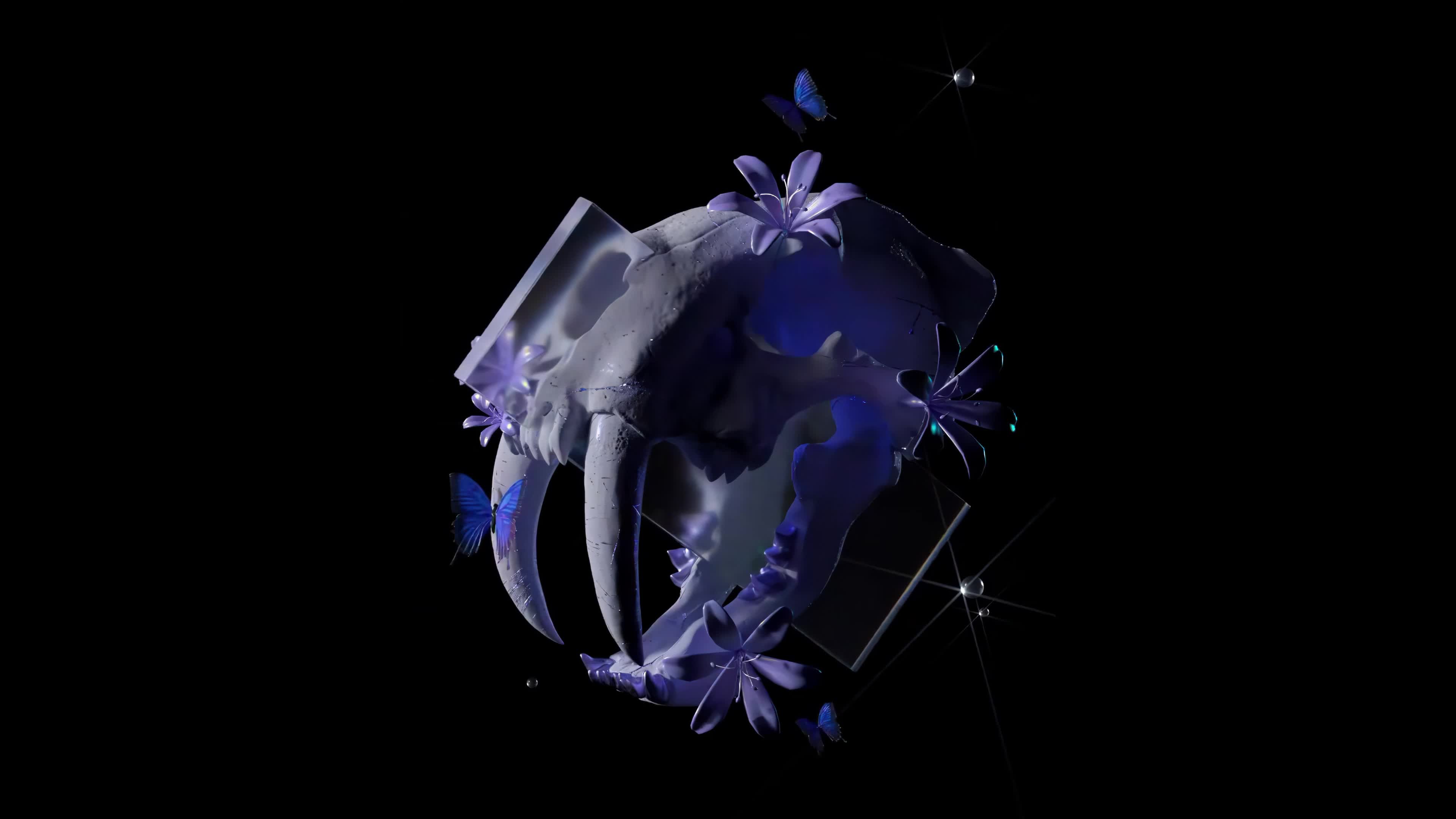 Y899826