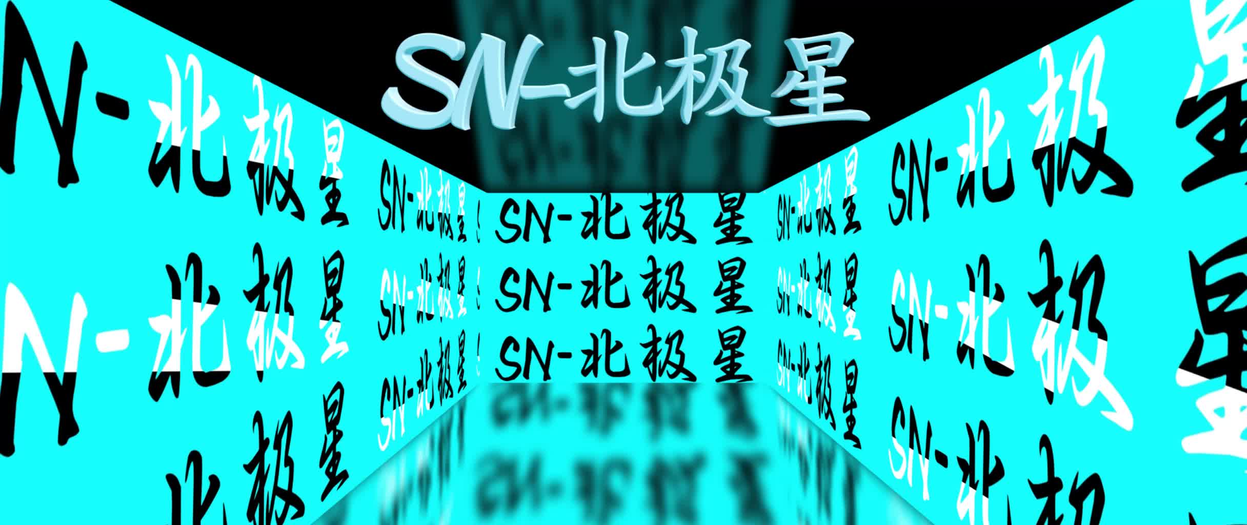 SN北极星定制1