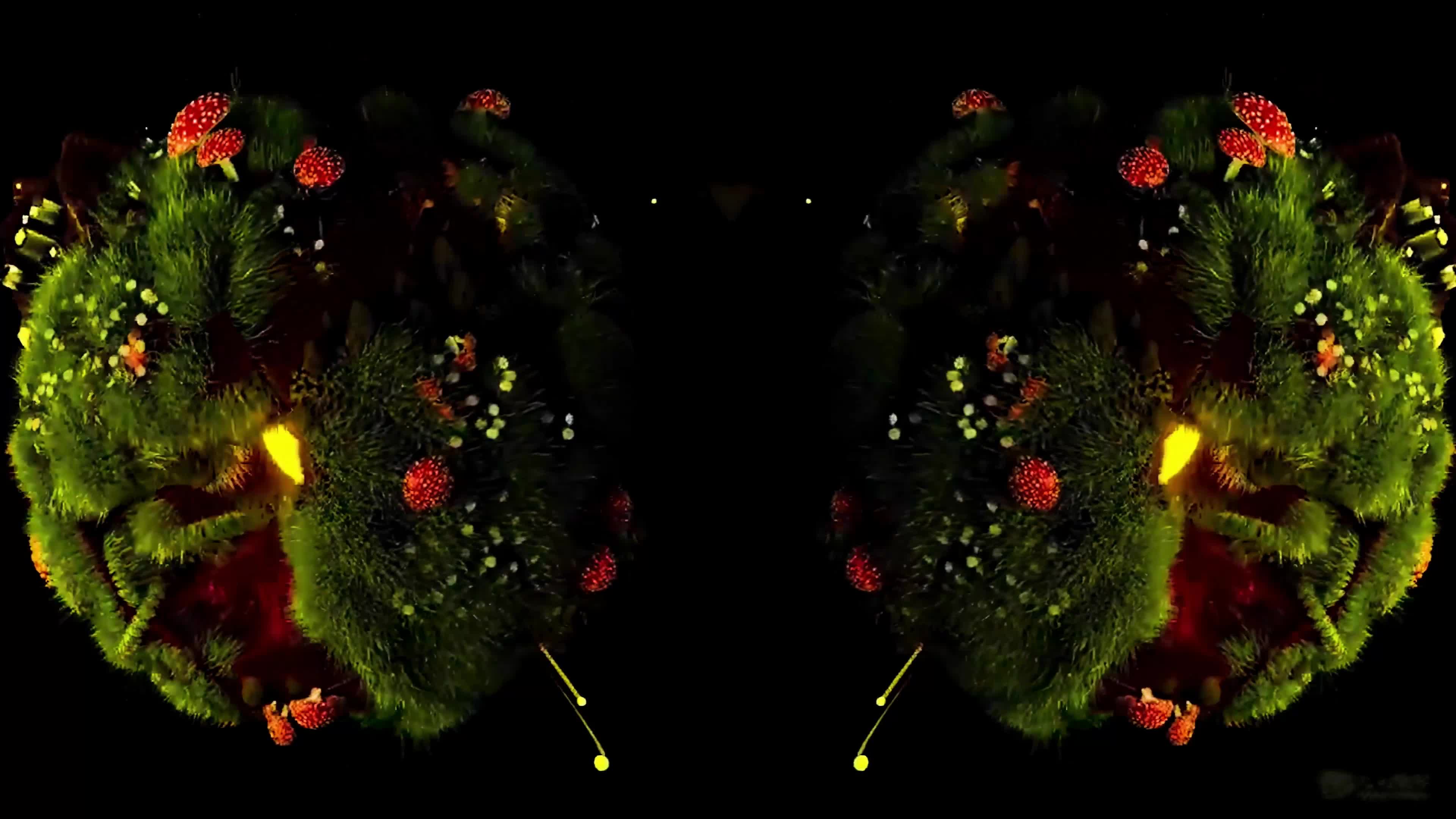Y899705