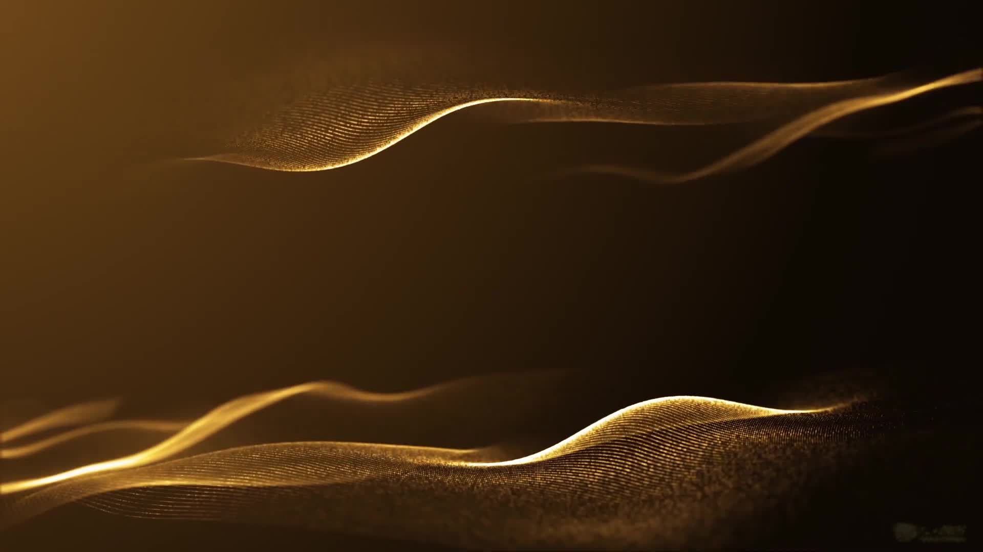 3049205