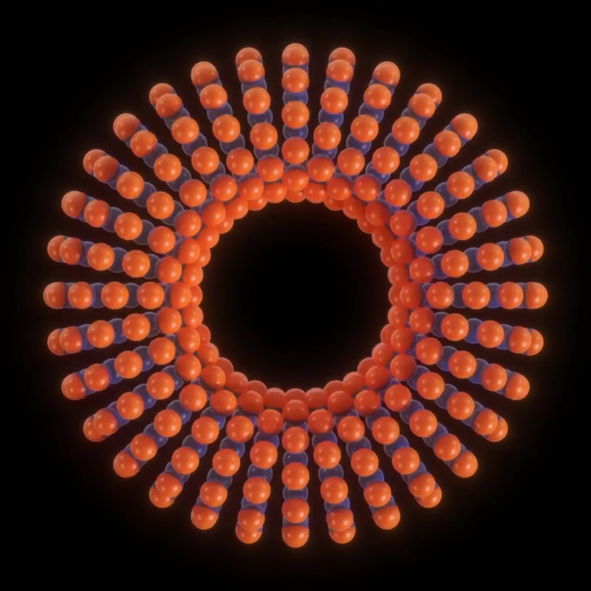 3029804