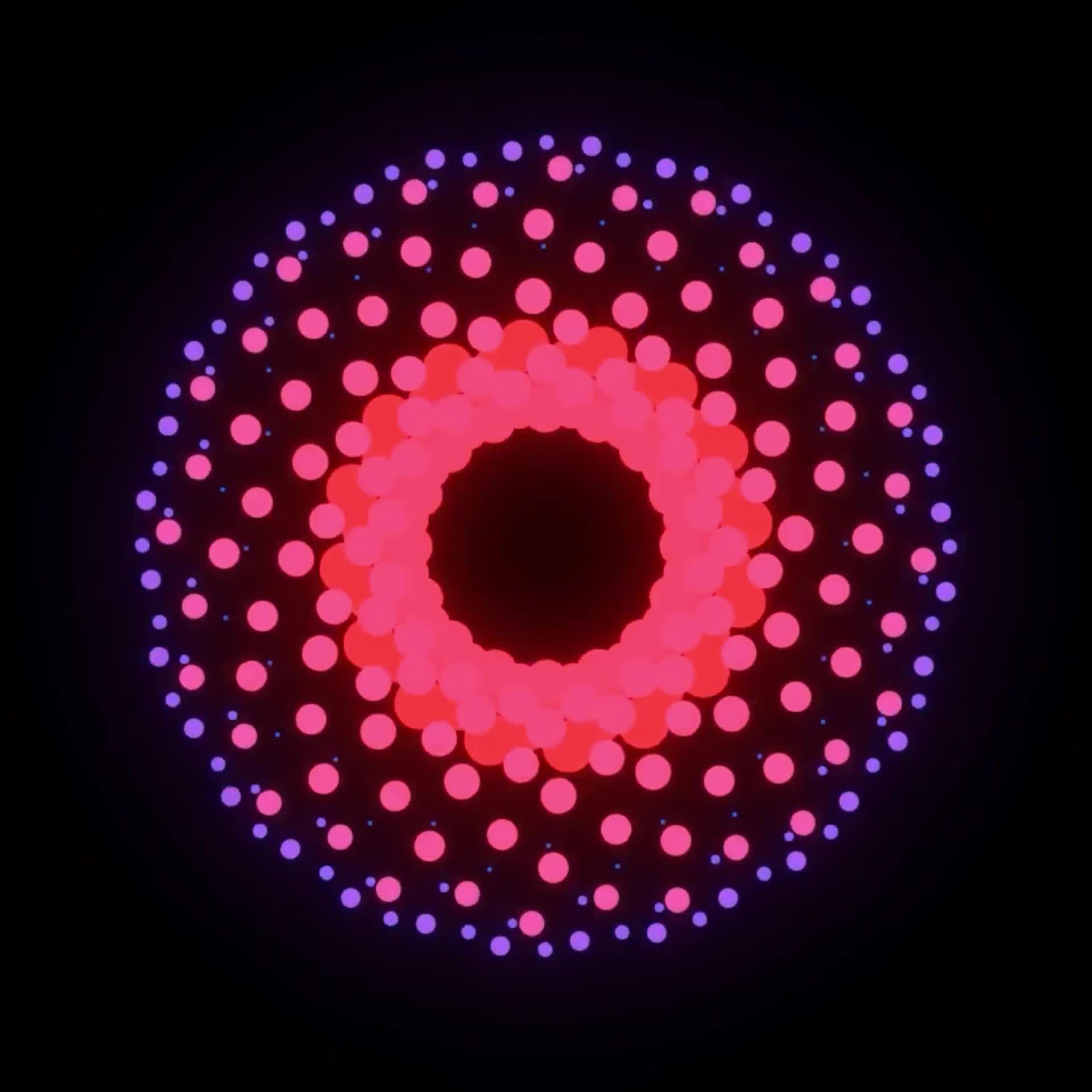 3029804
