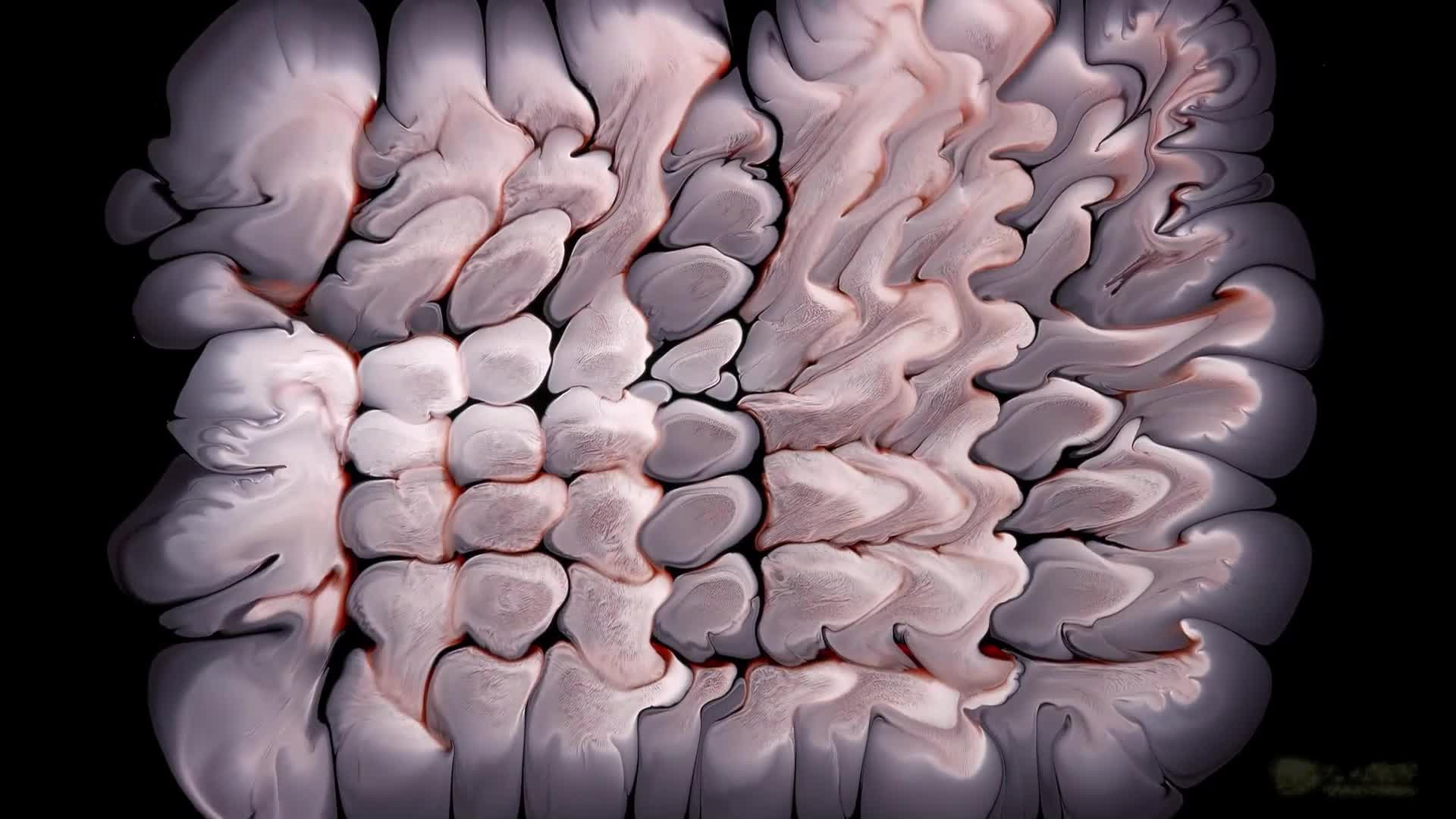 3048812
