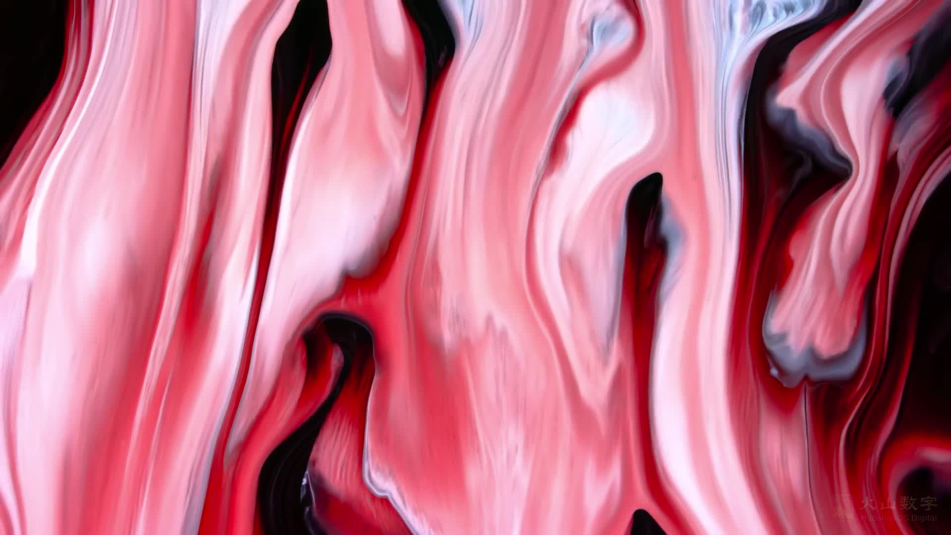 3048811