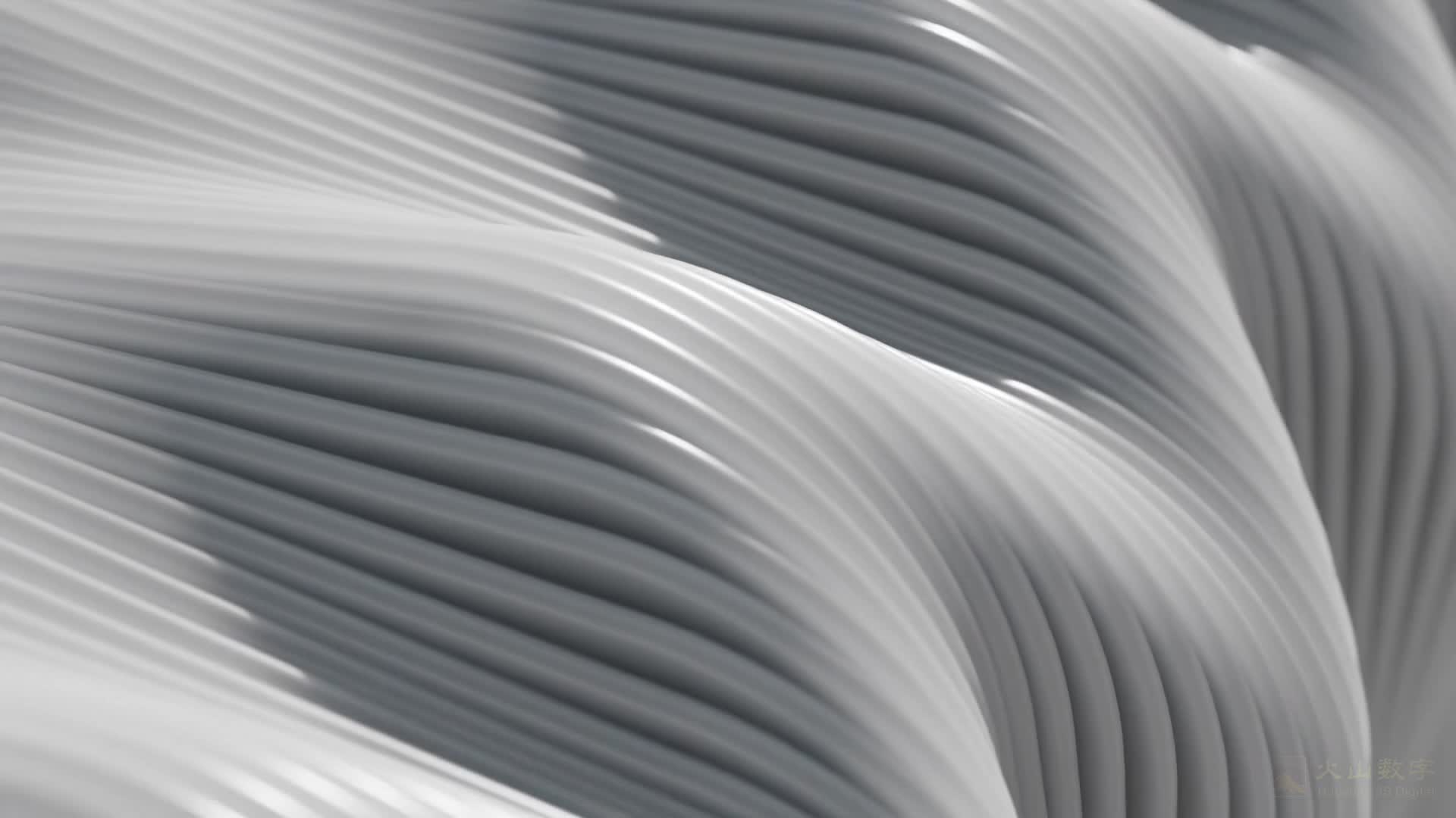 3048755