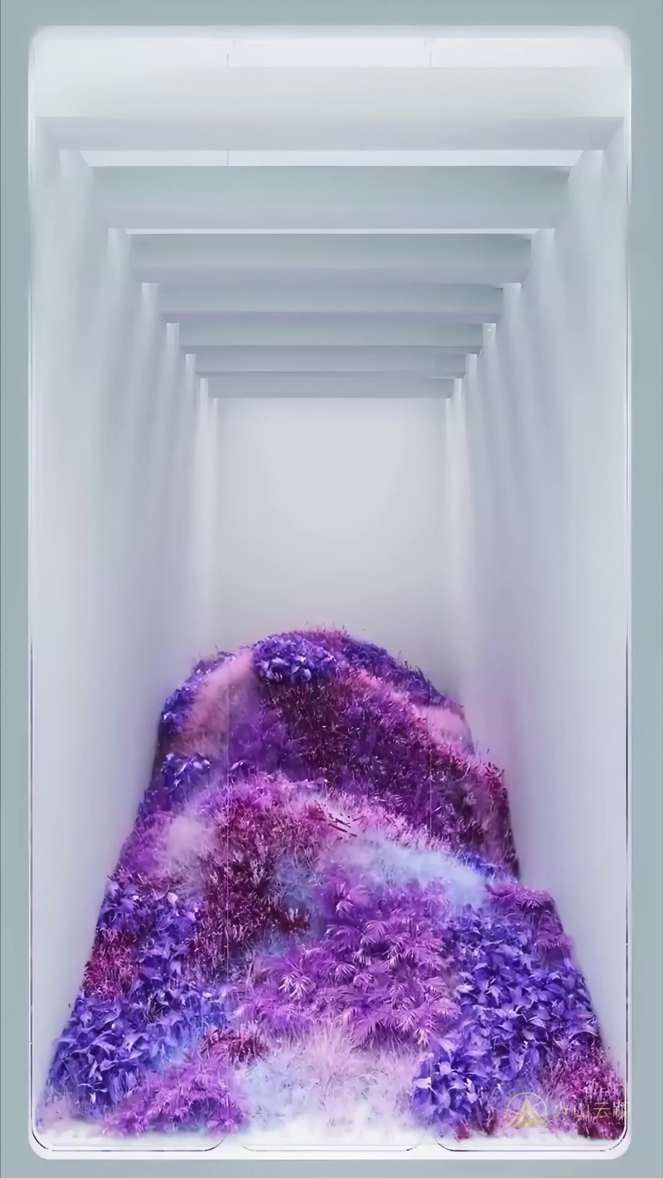 LY101855
