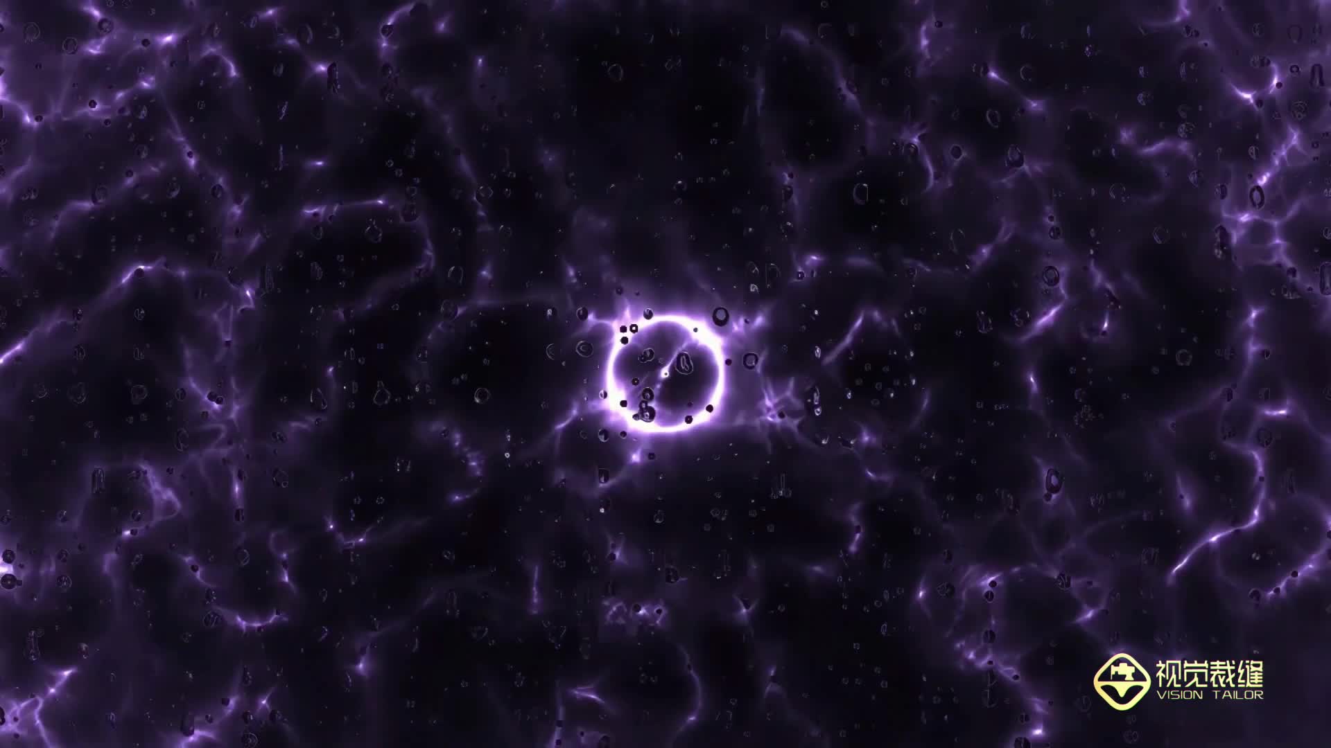 102243